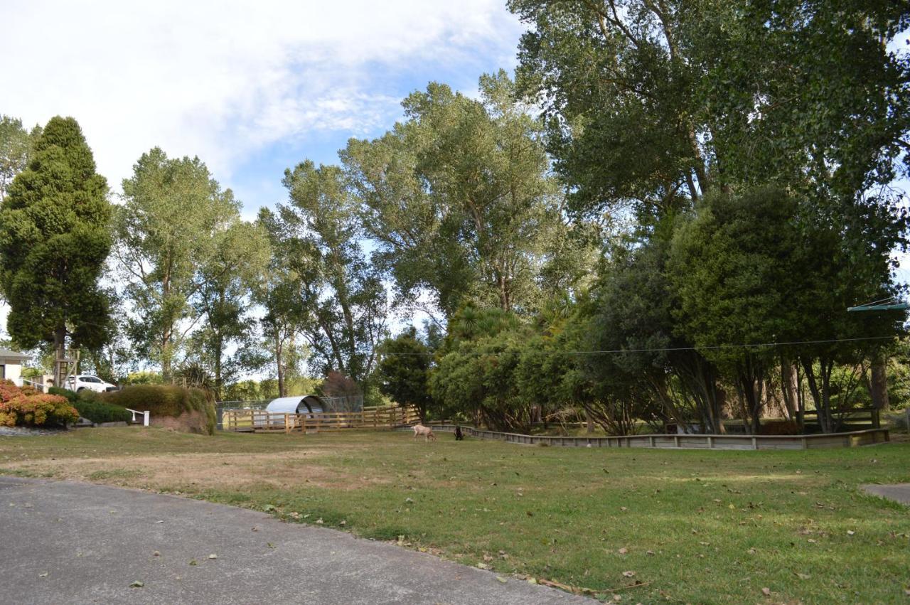 Poplar Creek B&B Matamata Exterior photo
